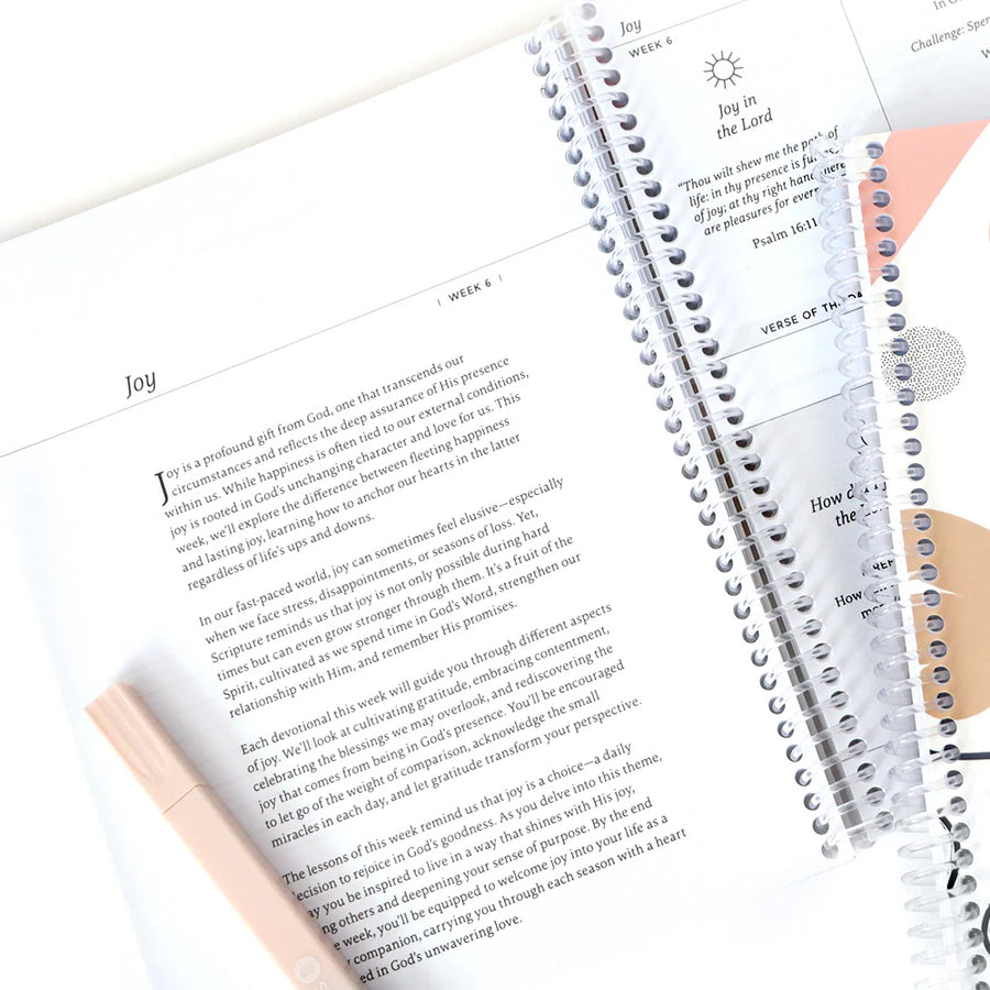 Anchored In His Word: A 90 Day Devotional