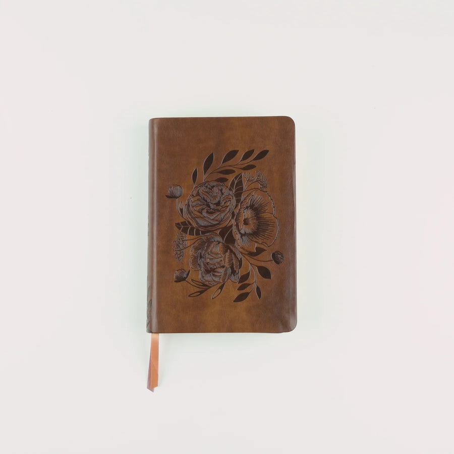 NLT Compact Bible: Aurora Theme