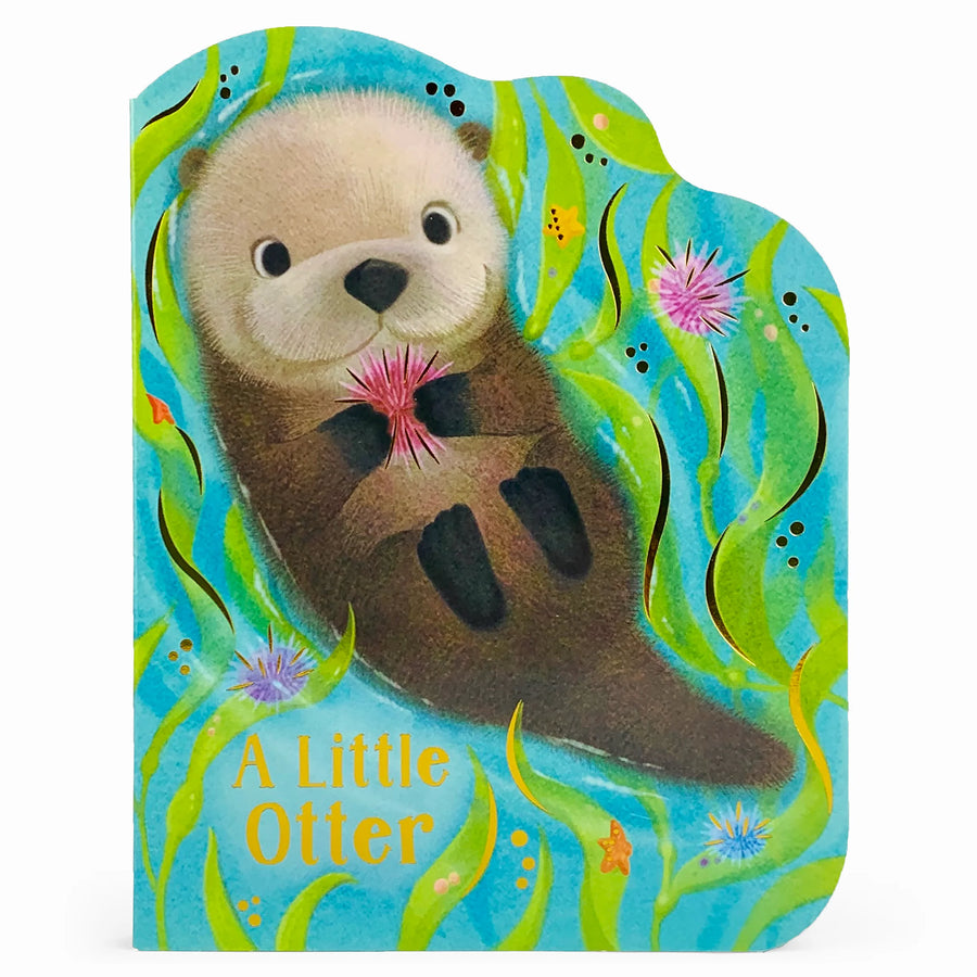 A Little Otter Book
