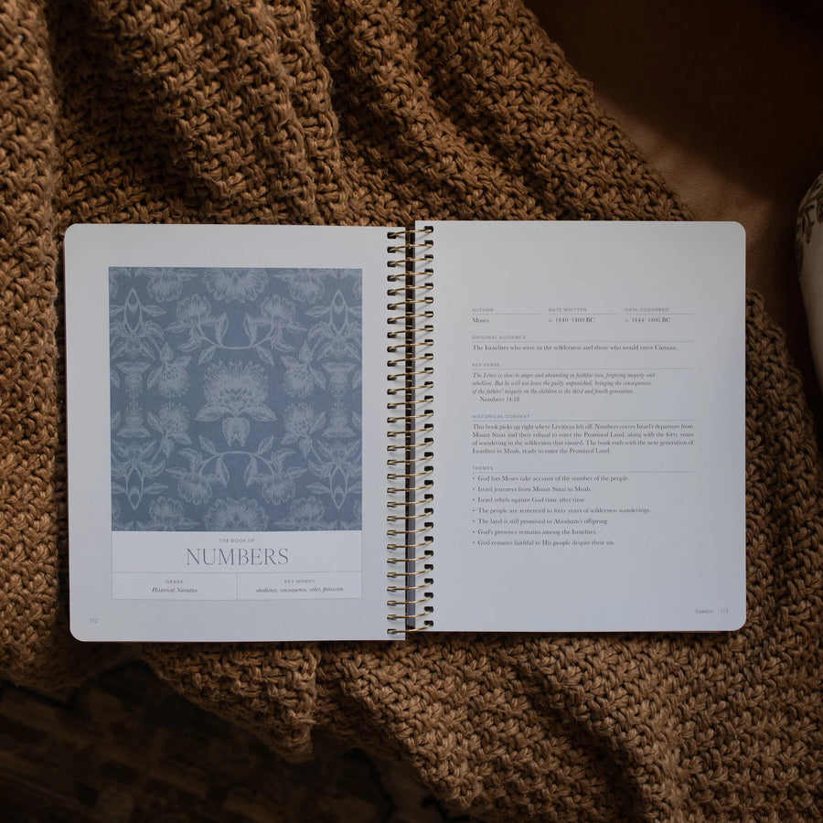 A Year In The Bible | 365 Days Of Discovering The Beauty Of Jesus From Genesis To Revelation | Volume 1