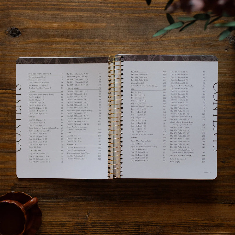 A Year In The Bible | 365 Days Of Discovering The Beauty Of Jesus From Genesis To Revelation | Volume 2