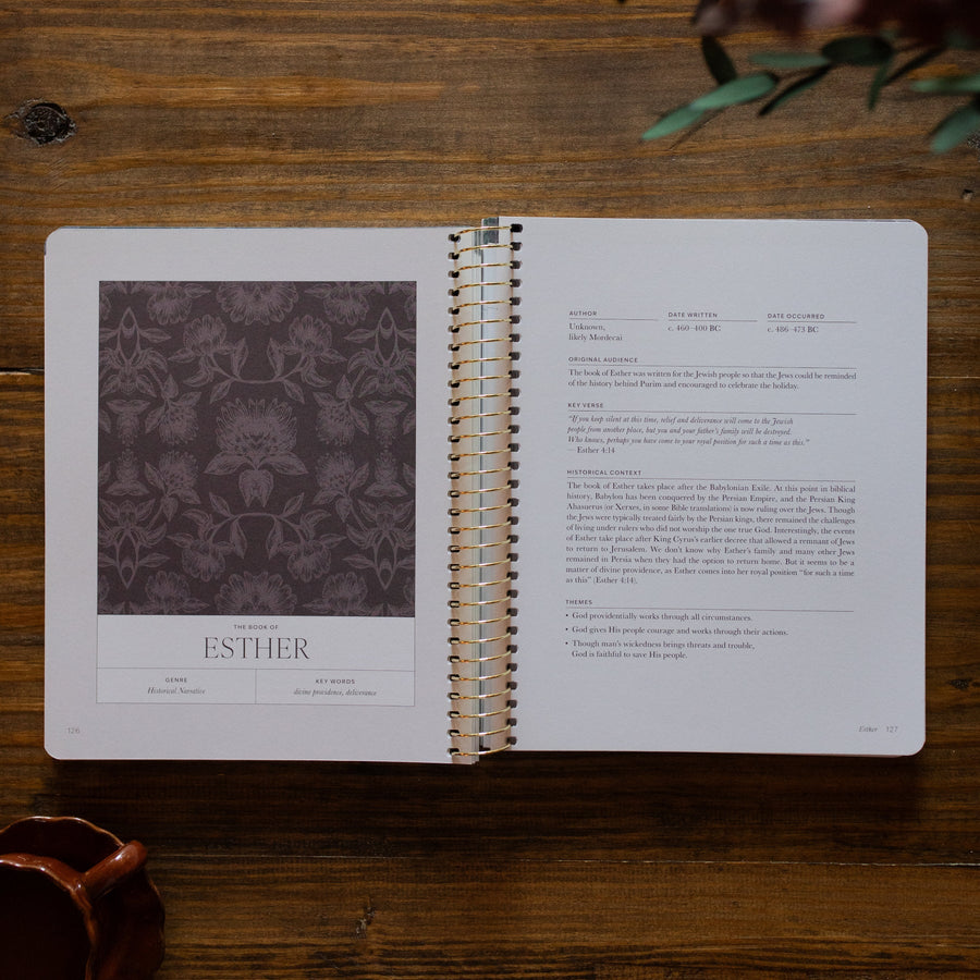 A Year In The Bible | 365 Days Of Discovering The Beauty Of Jesus From Genesis To Revelation | Volume 2