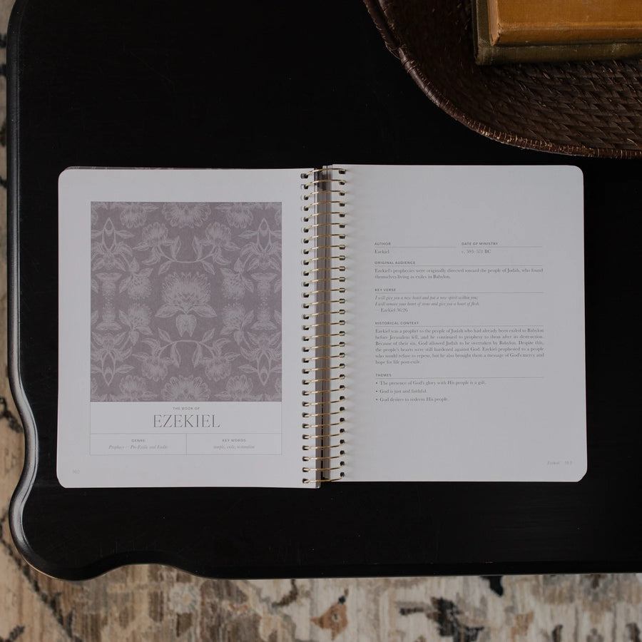 A Year in the Bible | 365 Days Of Discovering The Beauty Of Jesus From Genesis To Revelation | Volume 3