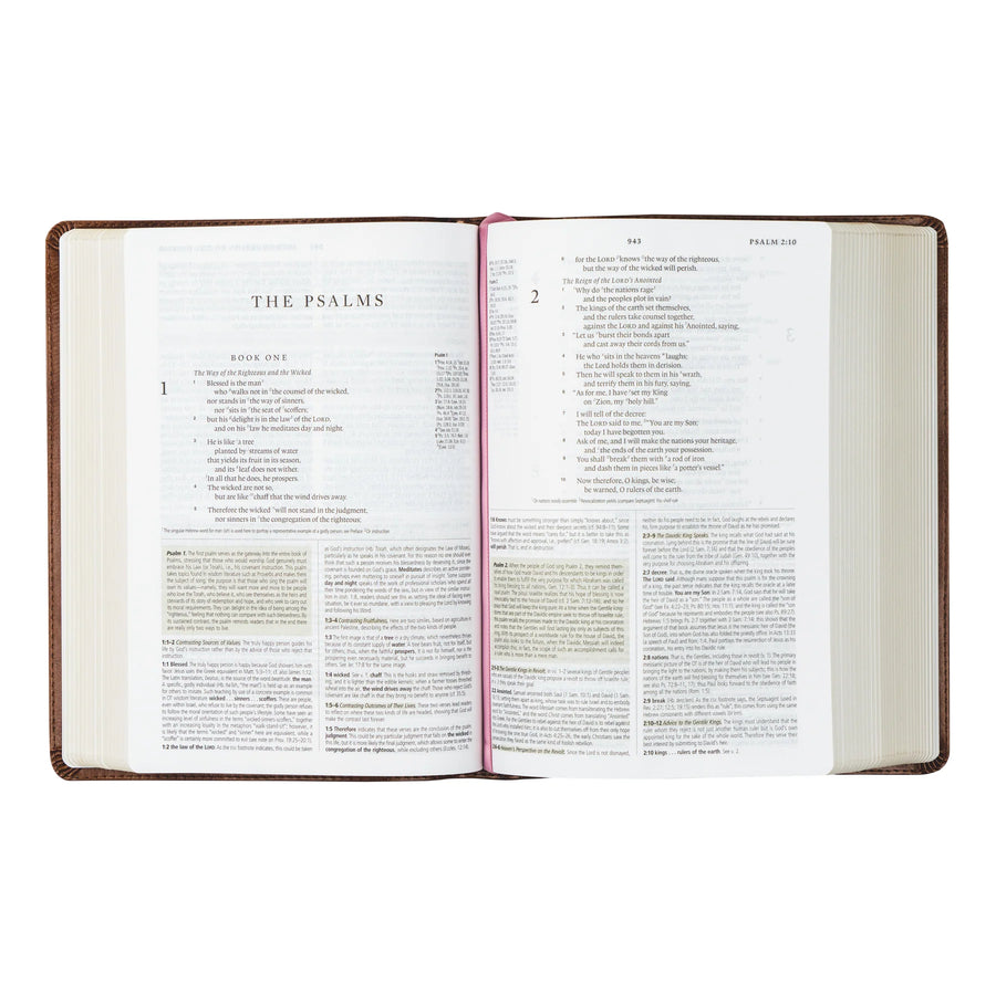 ESV Study Bible: Aurora Theme