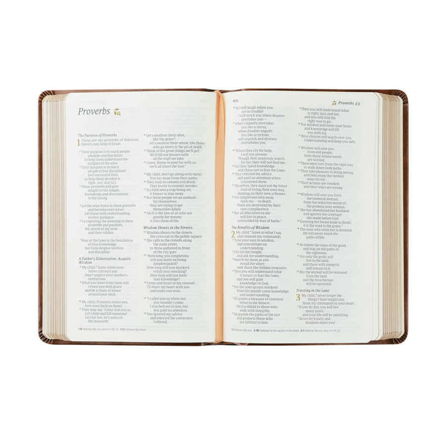 NLT Compact Bible: Aurora Theme