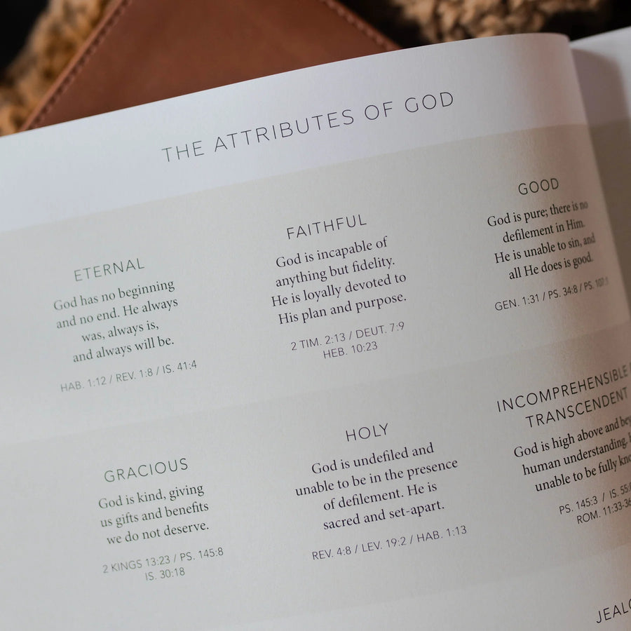 Esther | Seeing God When He Is Silent Bible Study