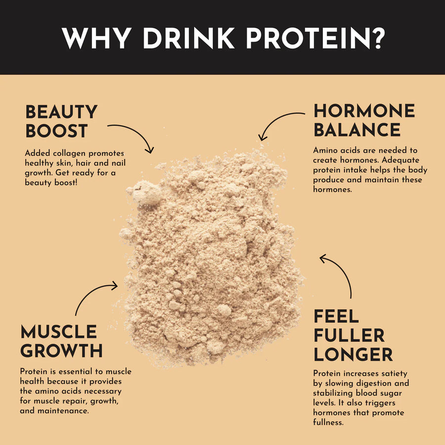 French Vanilla Protein Powder