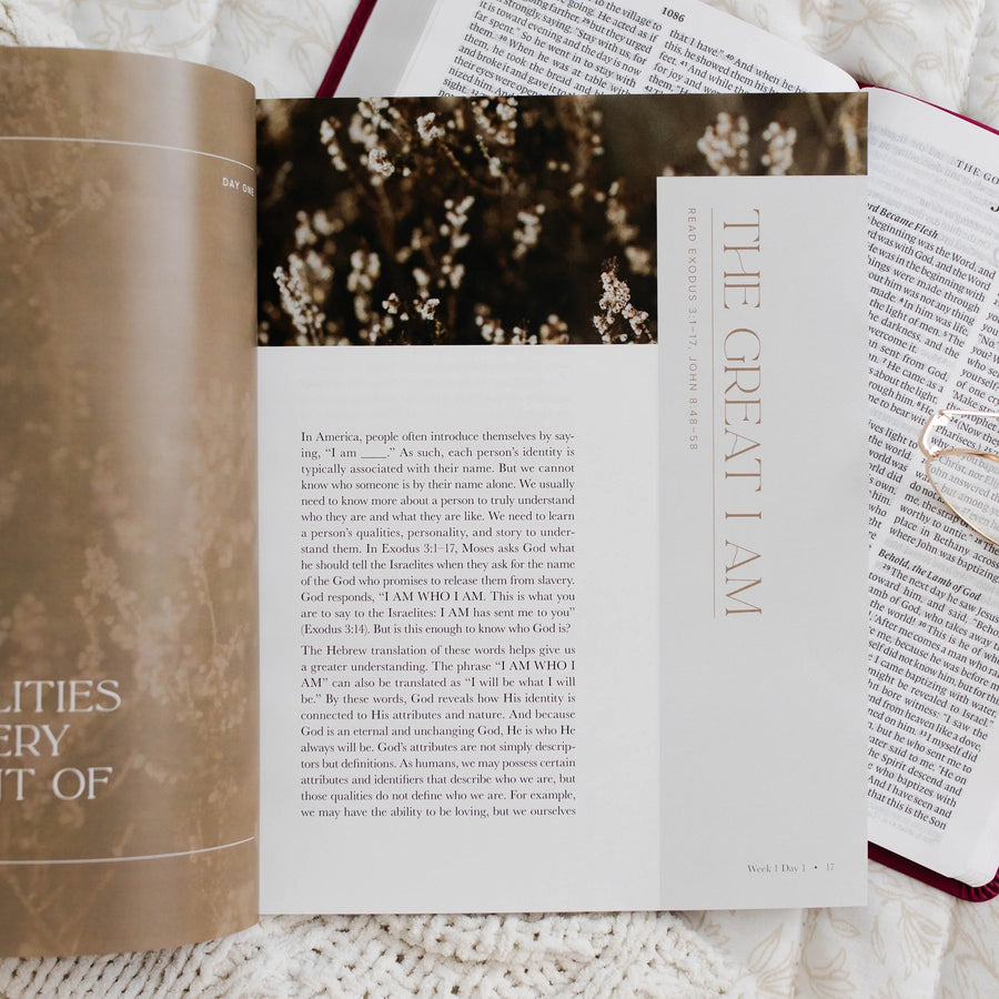 I Am: Who Jesus Is Changes Everything Bible Study