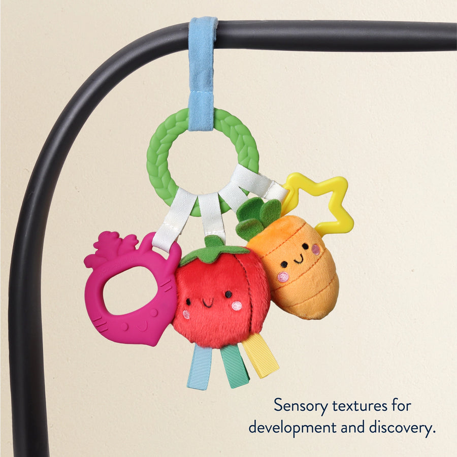 Veggie Activity Teething Ring