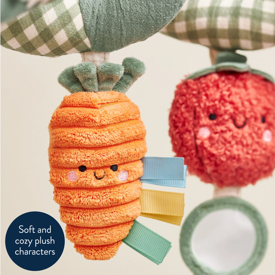 Veggie Itzy Spiral Toy