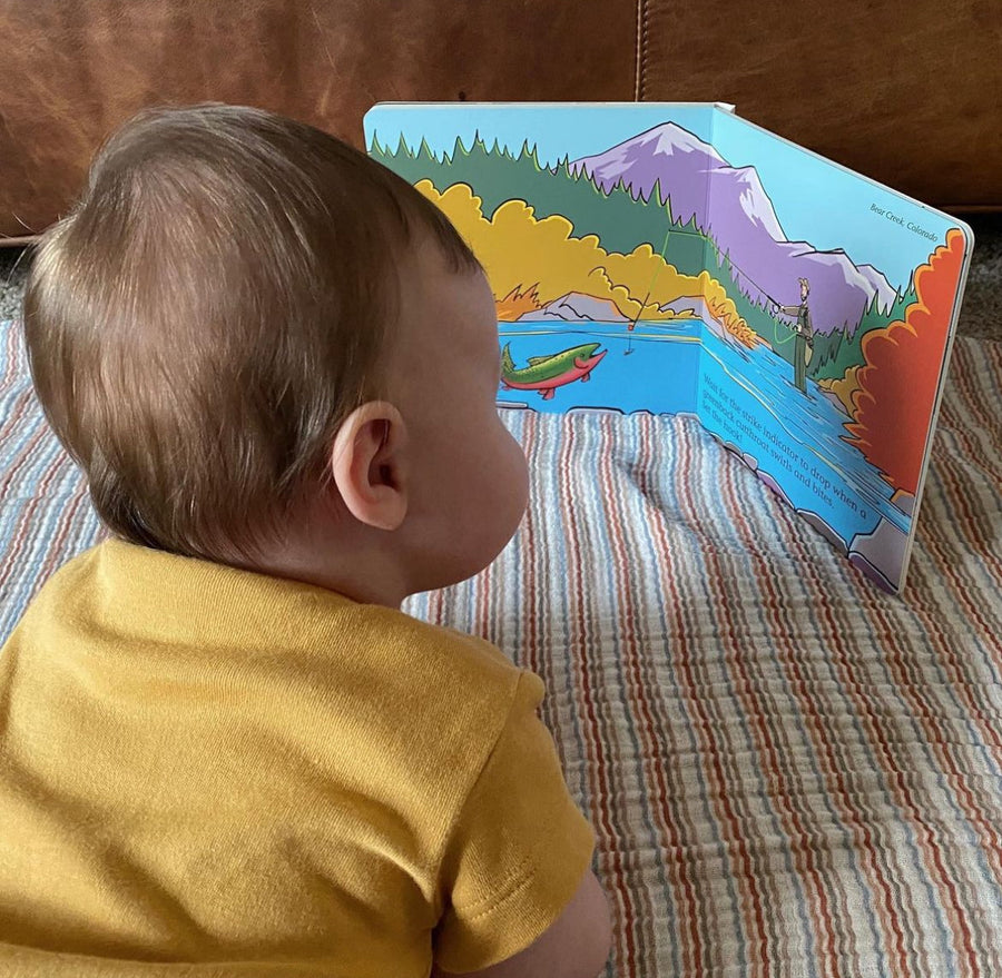 Match the Hatch Children's Book
