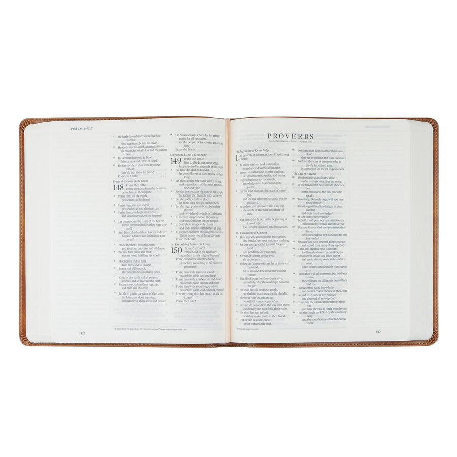 ESV Journaling Bible: Sierra Theme