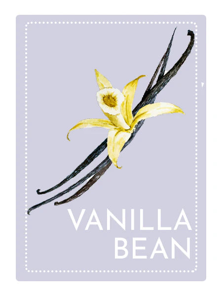 Vanilla Bean Perfume Oil