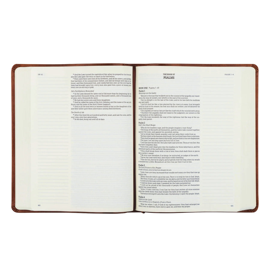 KJV Large Print Notetaking Bible: Vienna Theme