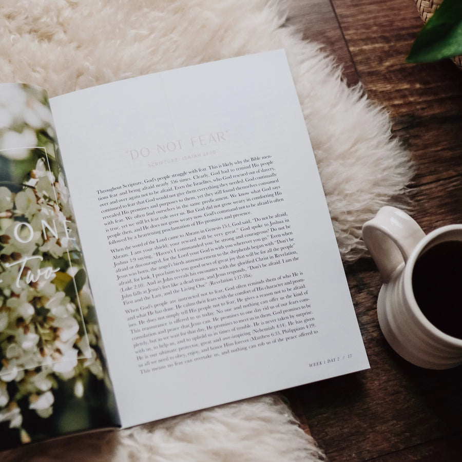 When Fear Meets Faith Bible Study