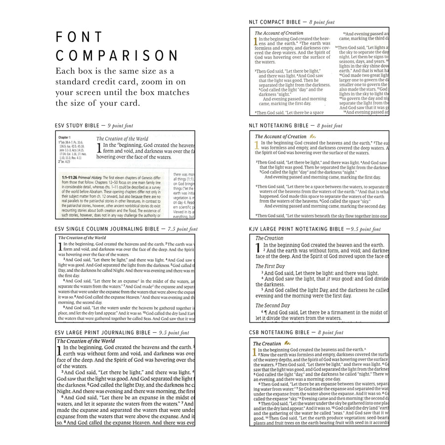 KJV Large Print Notetaking Bible: Vienna Theme