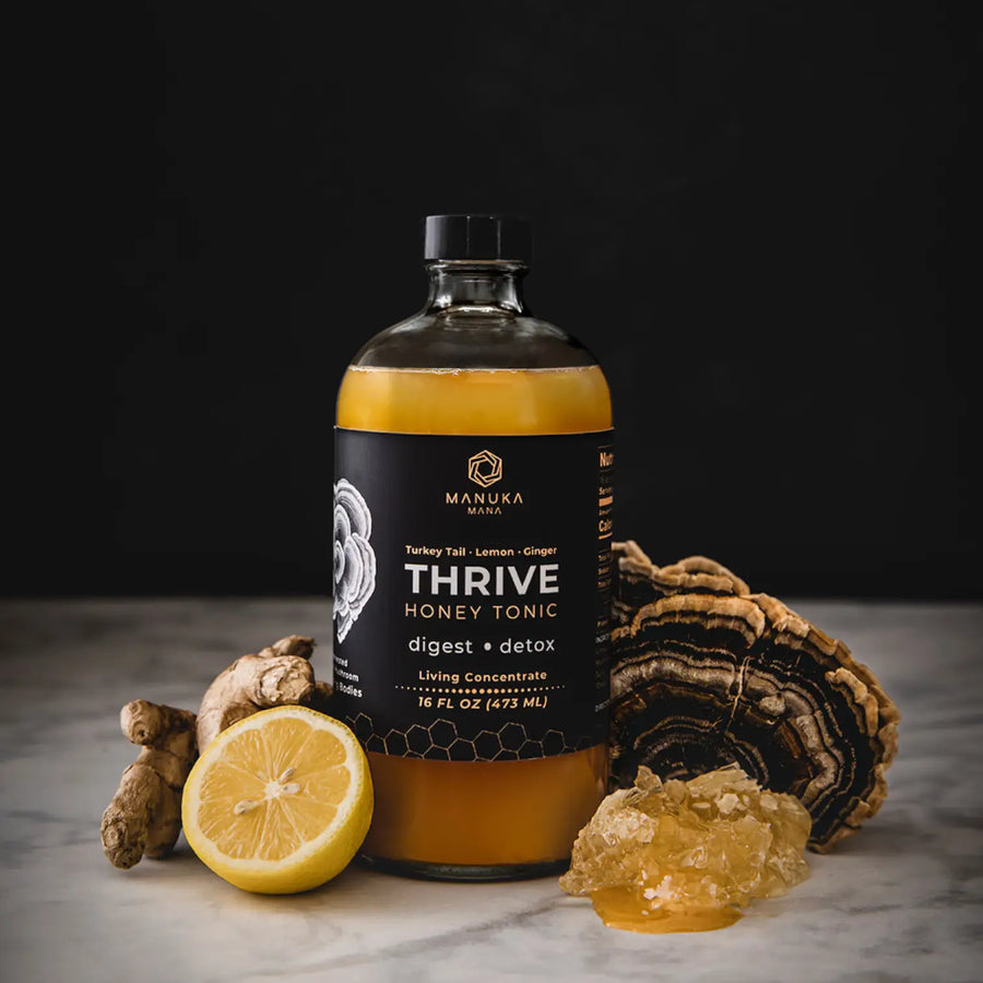 Turkey Tail Thrive Honey Tonic