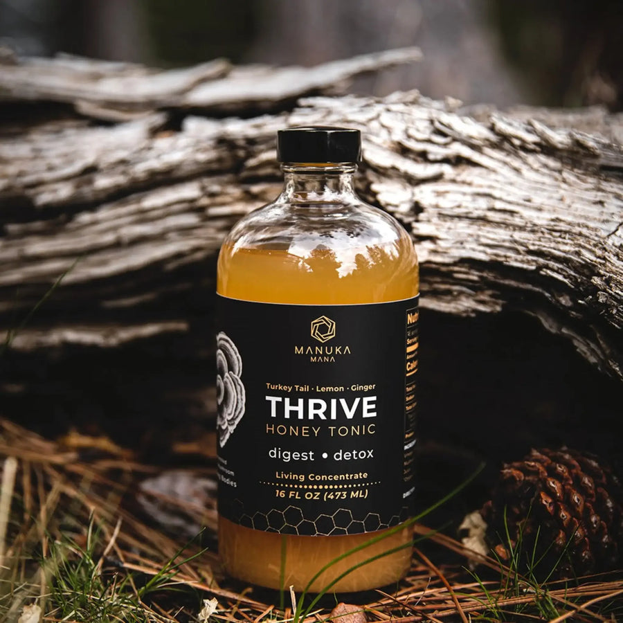 Turkey Tail Thrive Honey Tonic